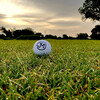 A view from Jersey Meadow Golf Course.