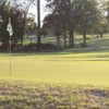 A sunny view of a green at Alpine Golf Club