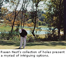 Raven Nest Golf Course 